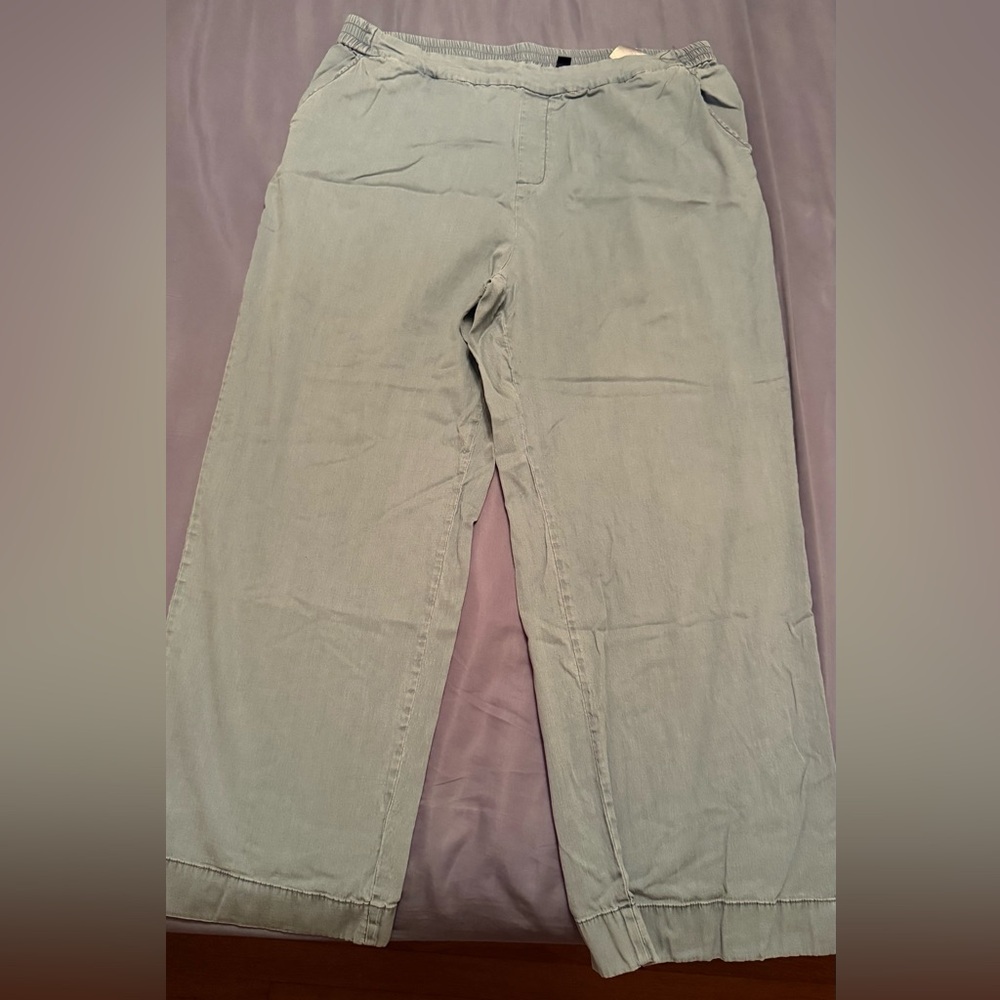 Isaac Mizrahi Tencel Lyocel Trousers